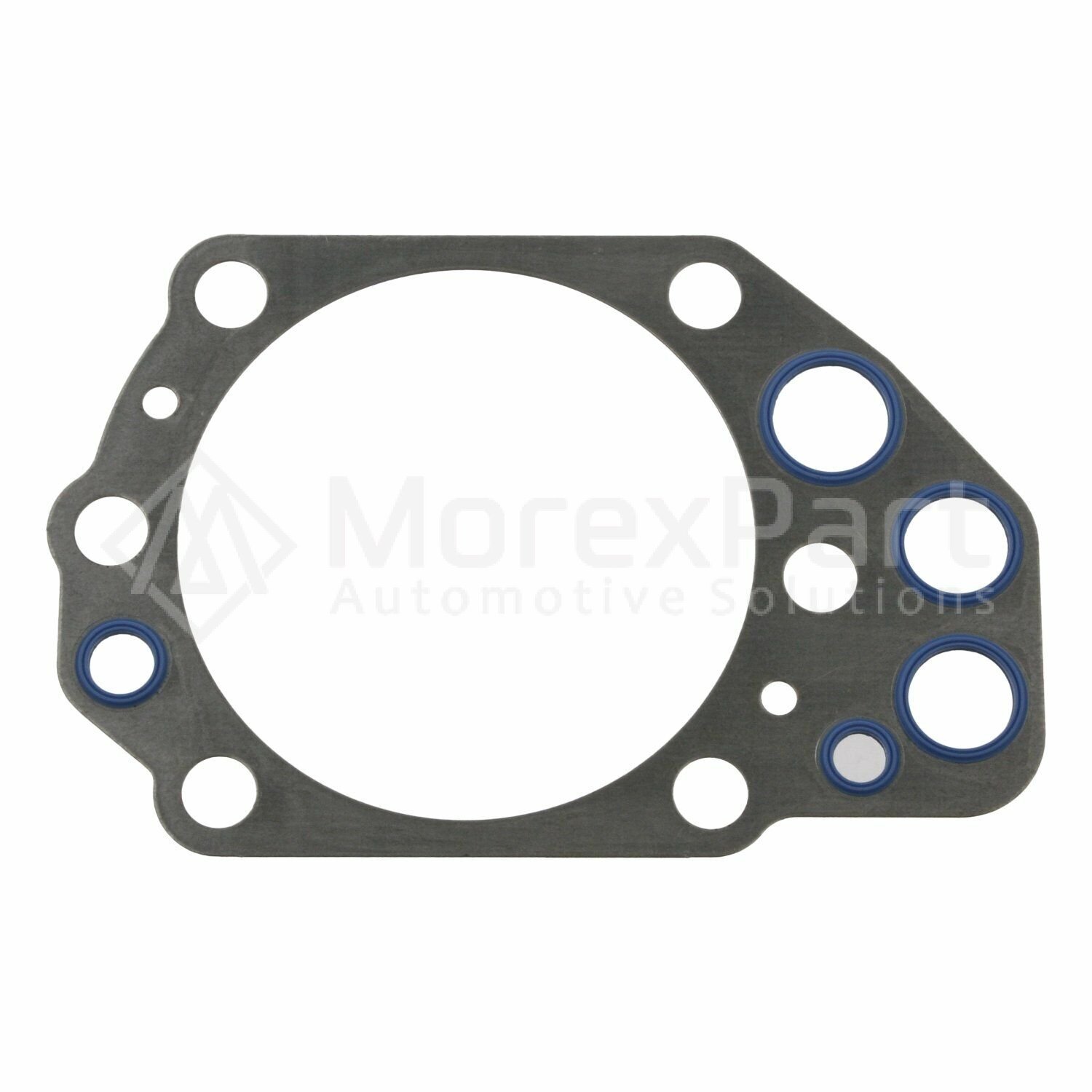 Cylinder Head Gasket