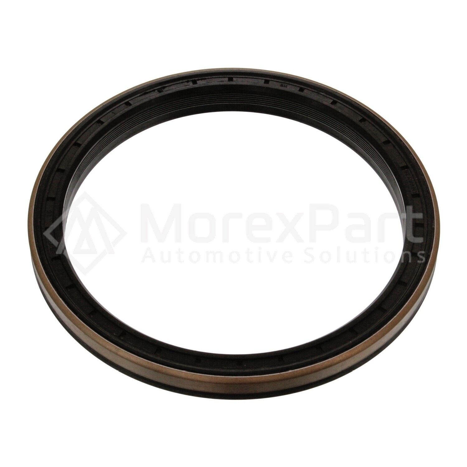 Oil Seal