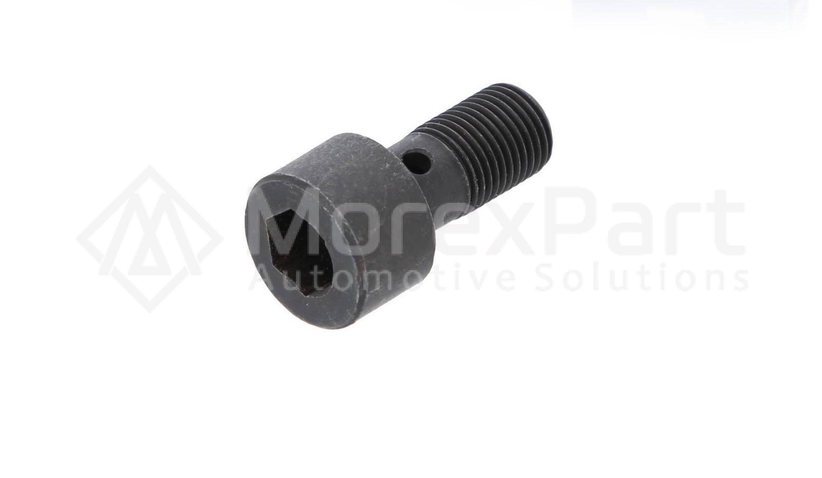 Hollow Screw