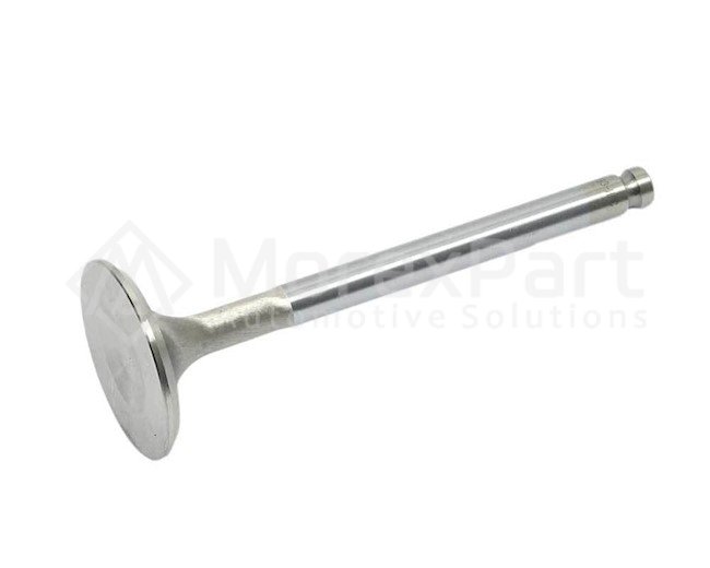 Exhaust Valve