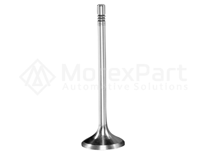 Exhaust Valve