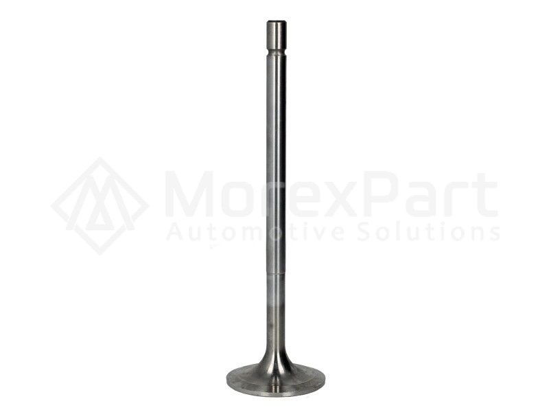 Intake Valve