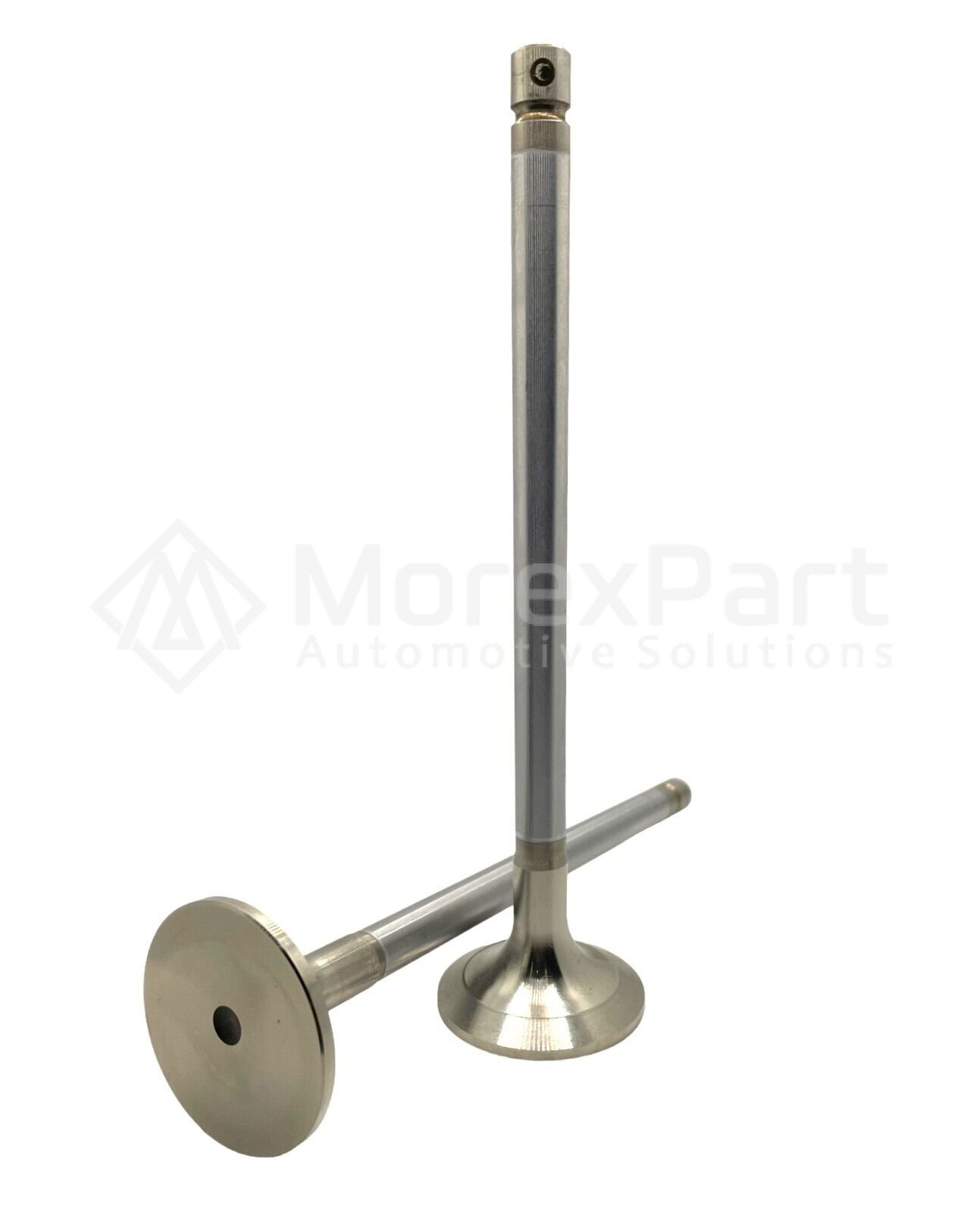 Exhaust Valve