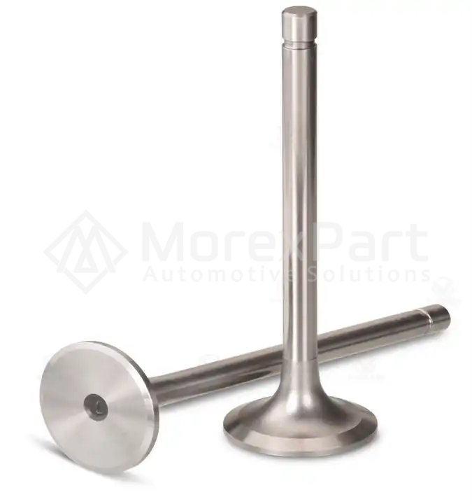 Exhaust Valve