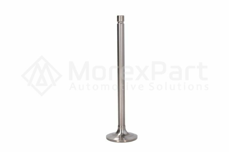 Intake Valve