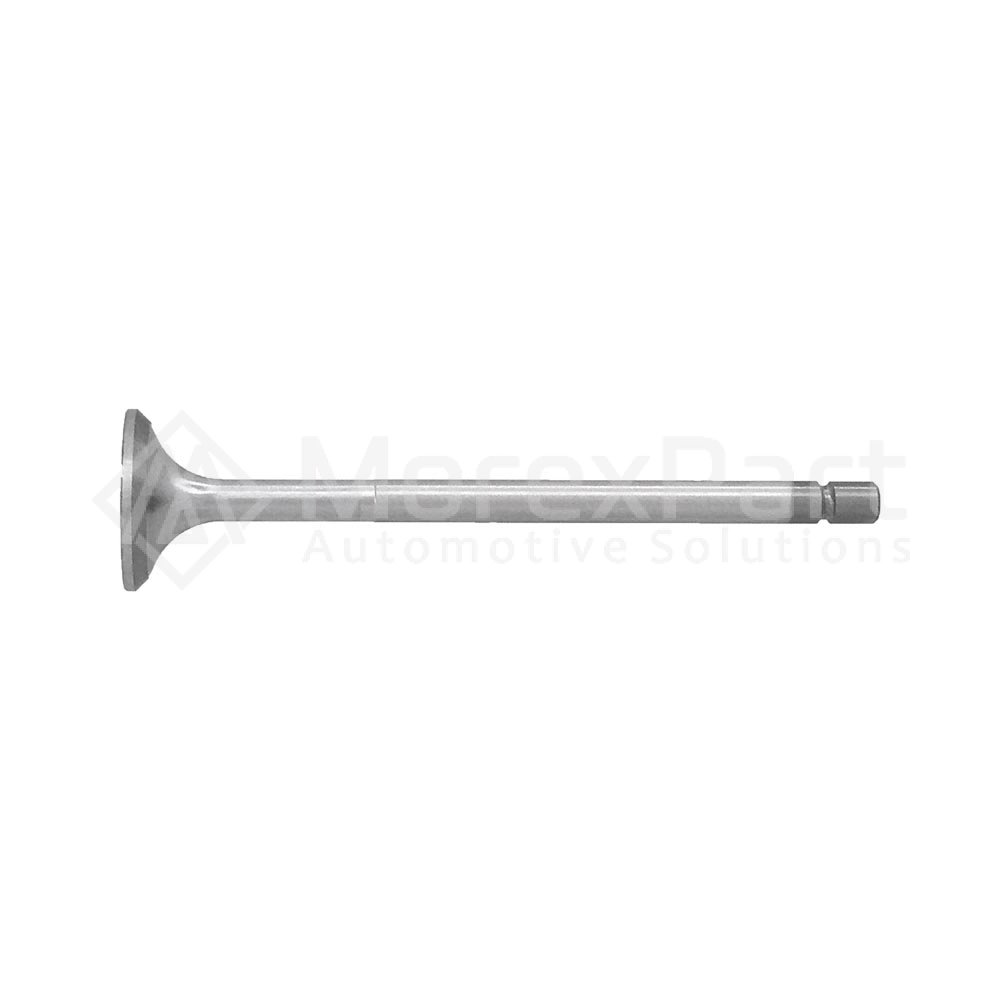 Exhaust Valve