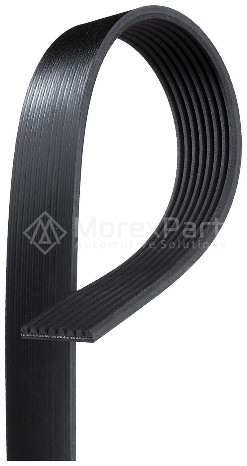 Multiribbed Belt