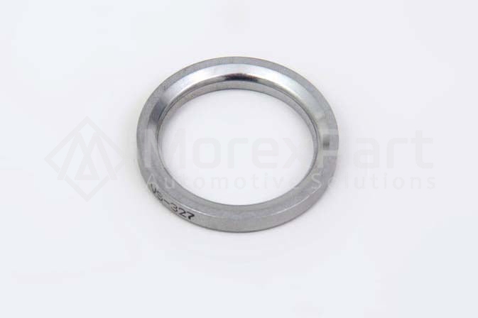 Intake Valve Seat - 0702574