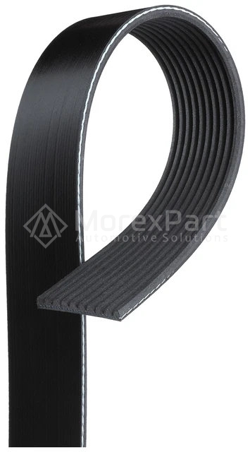 Multiribbed Belt 10PK1570 - 0702841