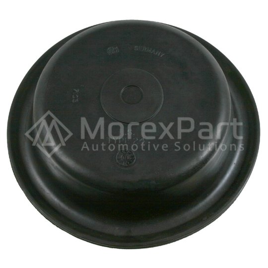Diaphragm
