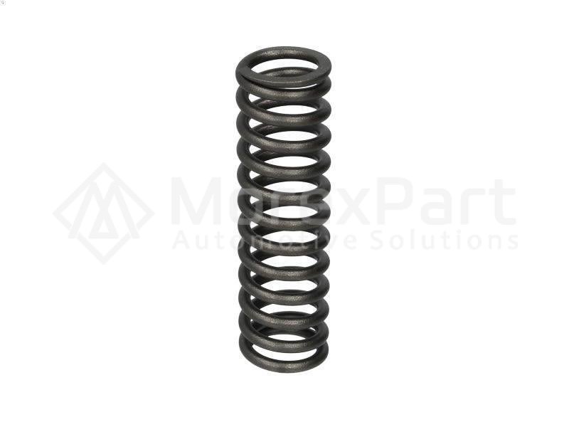 Exhaust Valve Spring
