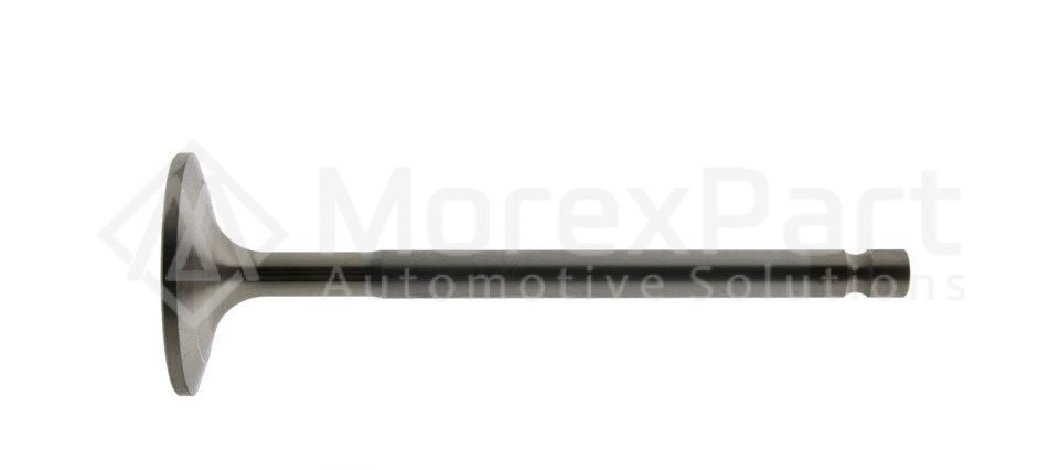 Intake Valve