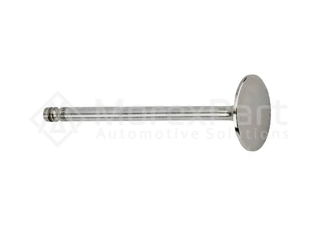 Intake Valve