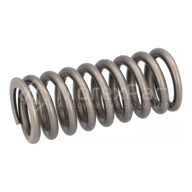 Valve Spring