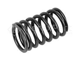 Valve Spring