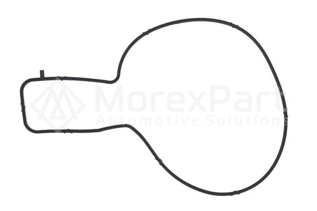 Water Pump Gasket - 0600463