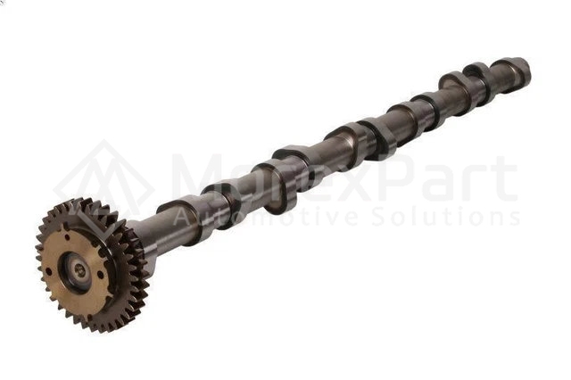 Eksantrik Mili - 0800817