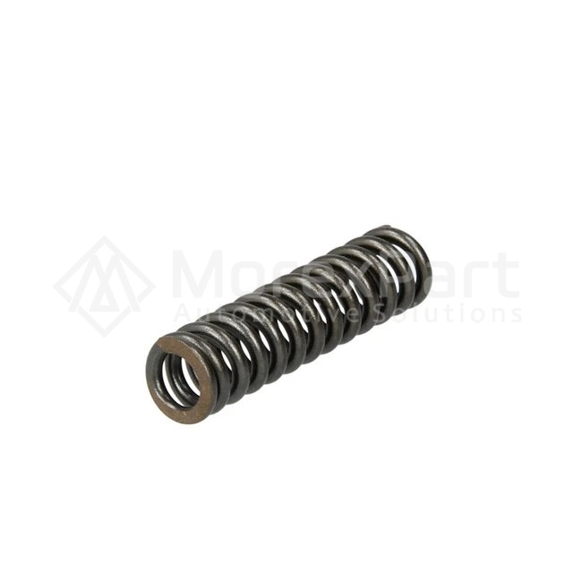 Pressure Spring - 0801565