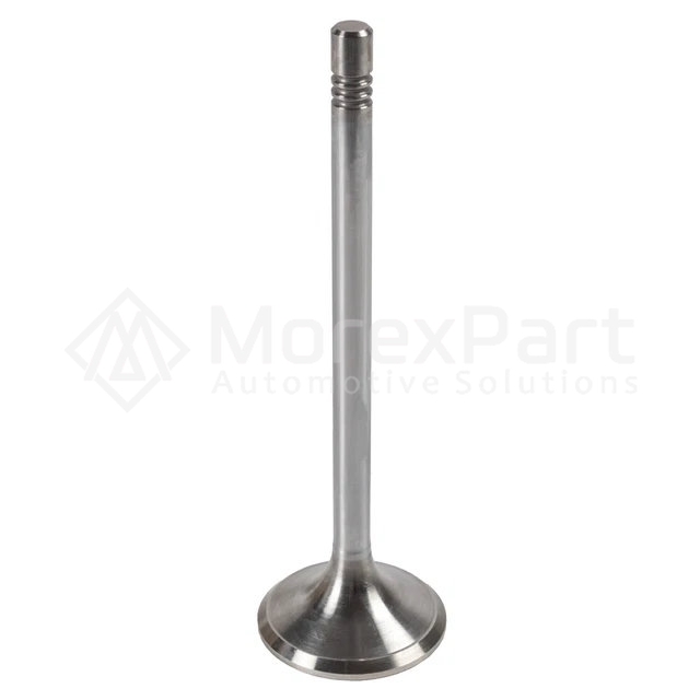 Exhaust Valve - 0802521