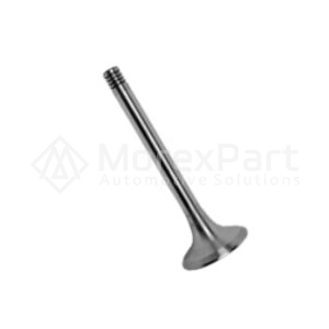 Exhaust Valve - 0802526