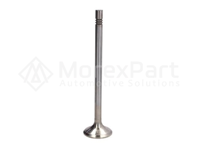 Exhaust Valve - 0802527