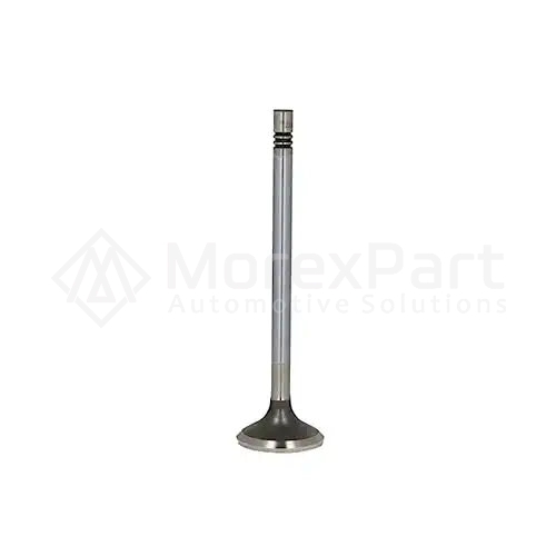 Exhaust Valve - 0802528