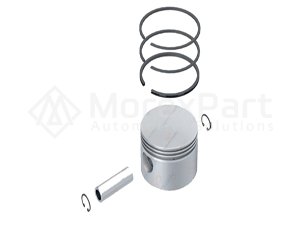 Air Compressor Piston & Ring Set