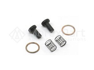 Feed Pump Repair Kit