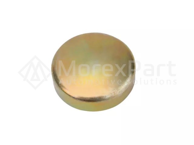 Expansion Plug