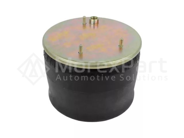 Air Spring